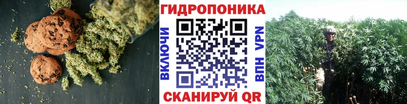 Cannafood конопля  Чухлома 