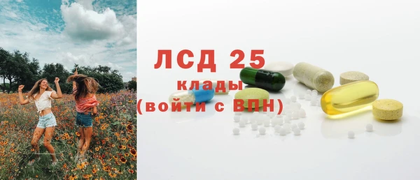винт Абаза