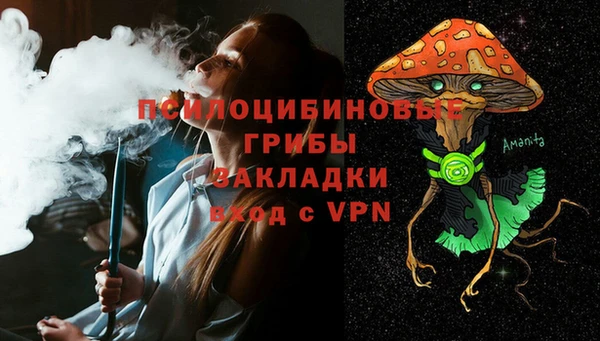 винт Абаза