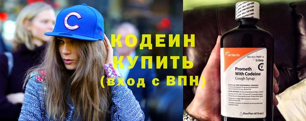винт Абаза